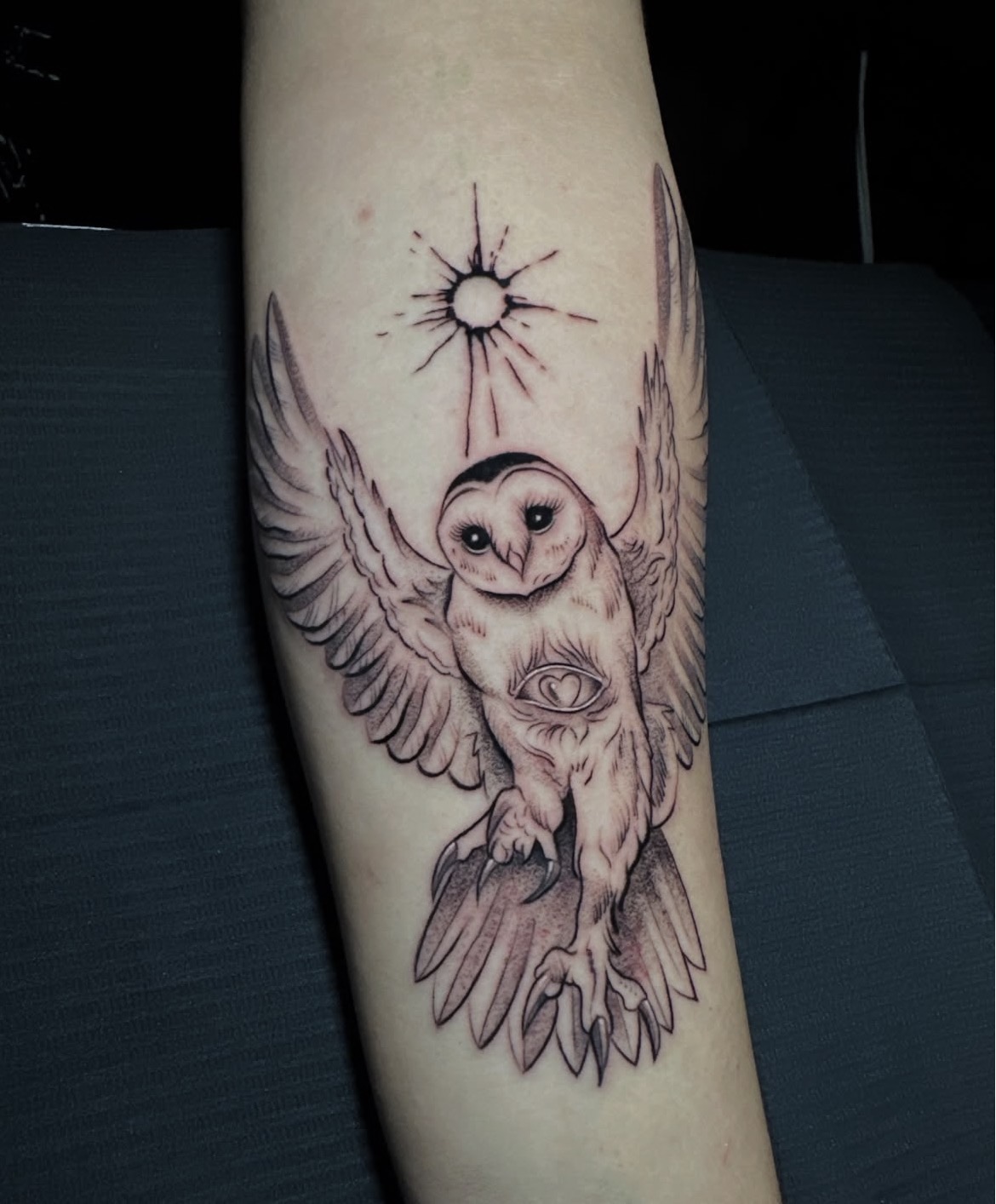 Owl in Flight — Fine Line